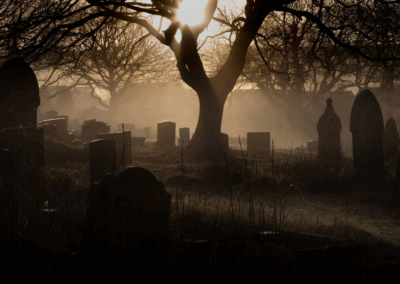 Gloomy Cemetry with the sun poking through the trees