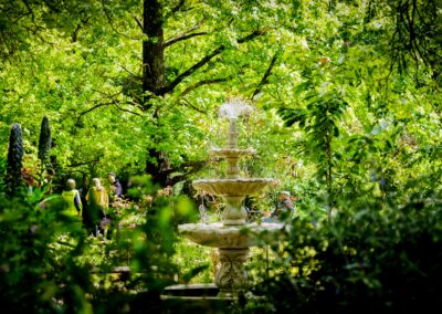 Water Fontain flowing in the middle of hanging vines